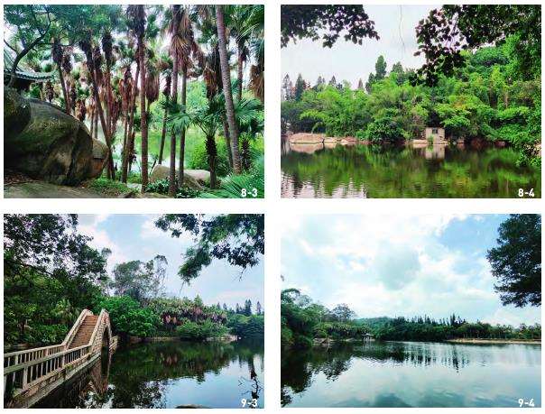厦门植物园的3个园林布局与空间构图