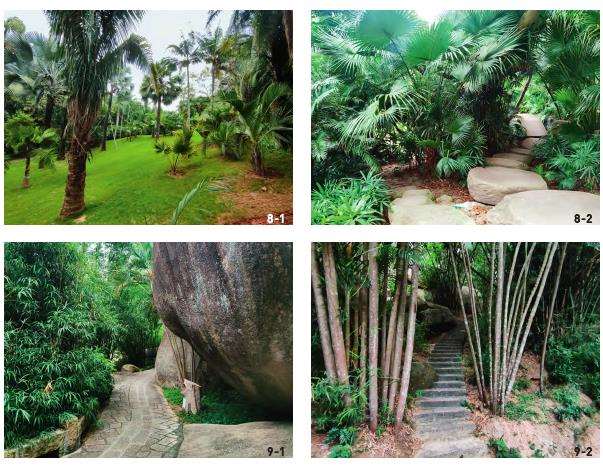 厦门植物园的3个园林布局与空间构图