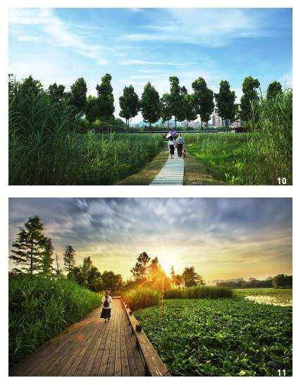 长沙湿地公园生物多样性的3个经验与思考