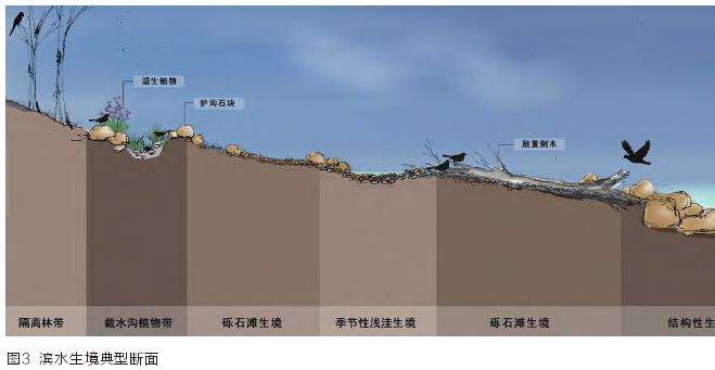 长沙湿地公园生物多样性