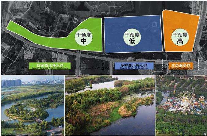 如何处理多样性培育保护与多样性展示之间的矛盾