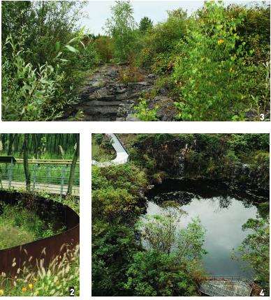 辅助营造荒野景观