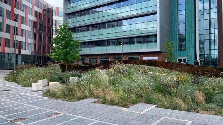 典型城市荒野空间的识别特征及应对策略