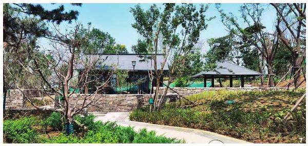 芳林园建筑的3个意与匠