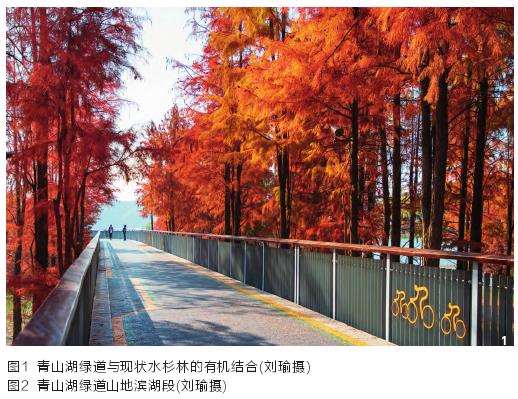 地形地貌及植被利用