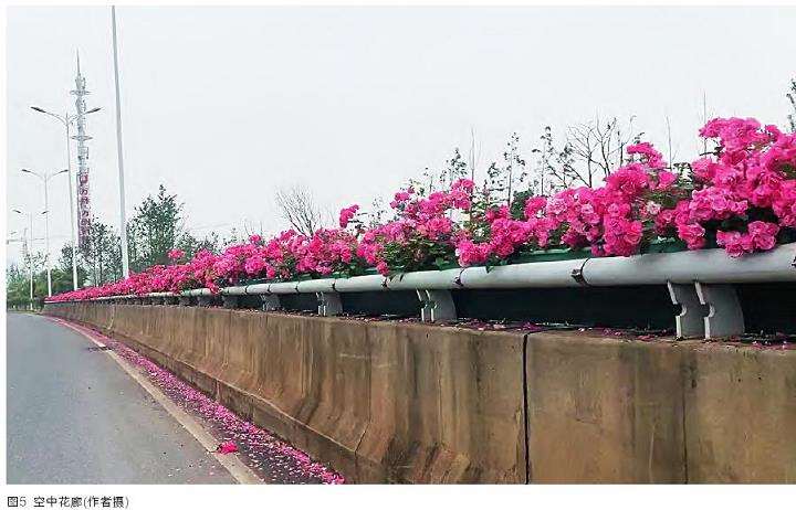 因地制宜的工艺创新