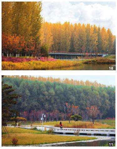 长治湿地公园怎么设计的7个步骤