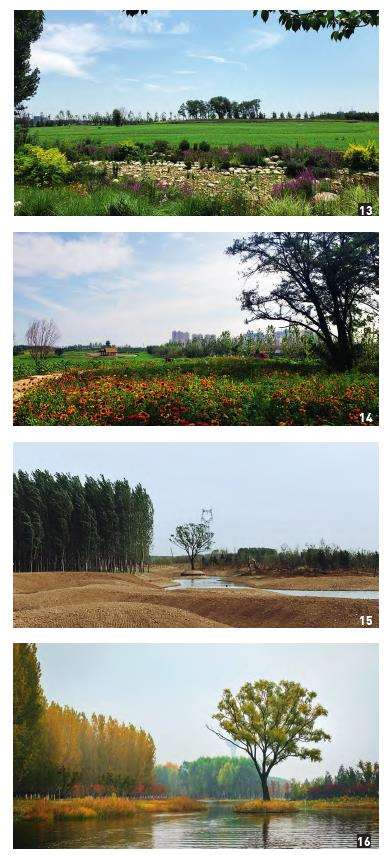 长治湿地公园怎么设计的7个步骤
