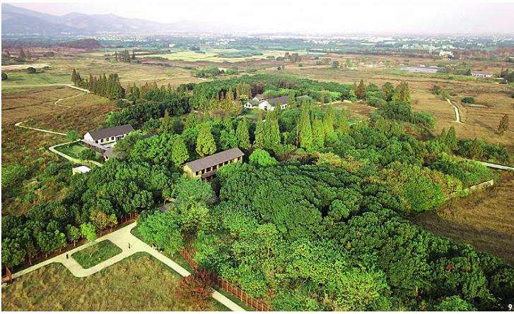 良渚古城遗址公园规划建设的5个特色