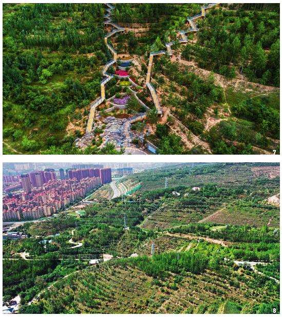 海绵与景观相融合