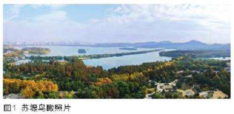 生态型堤防建设发展综述