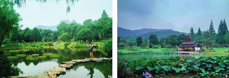 杭州湿地植物园生境的3个营造和利用