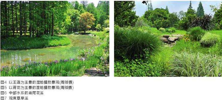 杭州湿地植物园生境的3个营造和利用