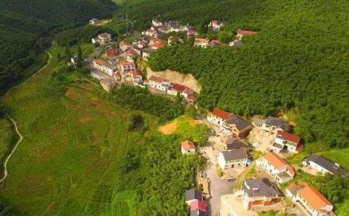 杭州大径山乡村国家公园绿道规划设计