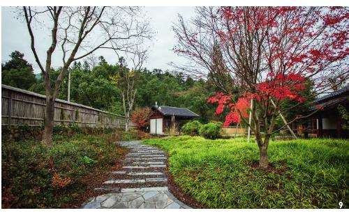 人们对景观过程性的思考