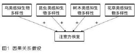 城市公园感知生物多样性促进注意力恢复的影响研究