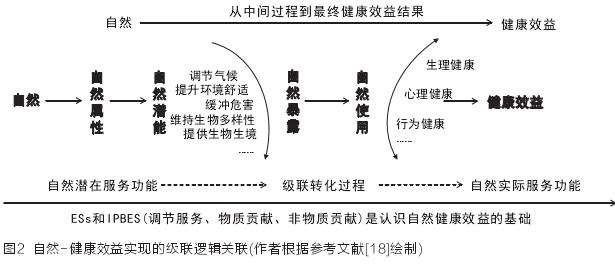 城市自然生态系统服务功能及其健康功效