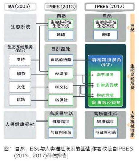 基于ESs的城市自然健康效益研究