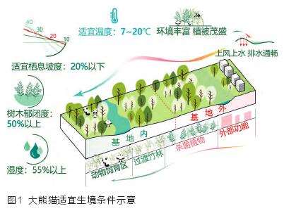 成都动物主题公园设计的5个理论研究
