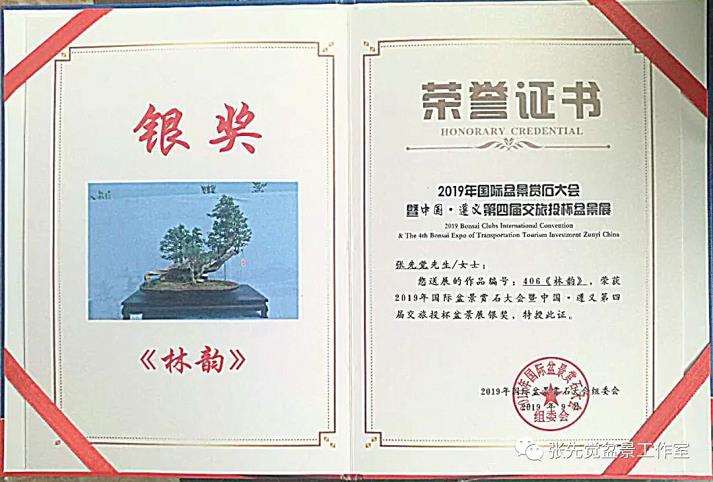 盆景桩坯怎么制作丛林造型