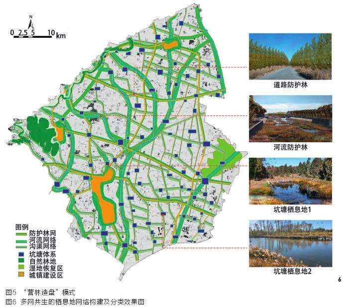 构建多网共生的栖息地网络
