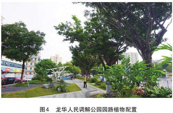 园路空间植物群落