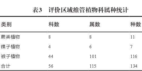 湿地公园生态环境影响分析