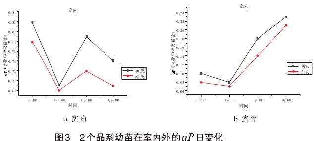 2个品系木奶果幼苗叶绿素荧光参数日变化分析