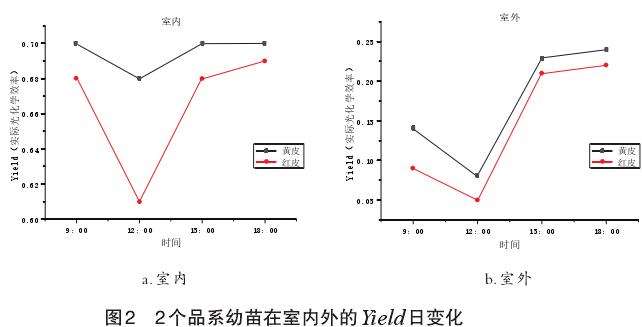 2个品系木奶果幼苗叶绿素荧光参数日变化分析