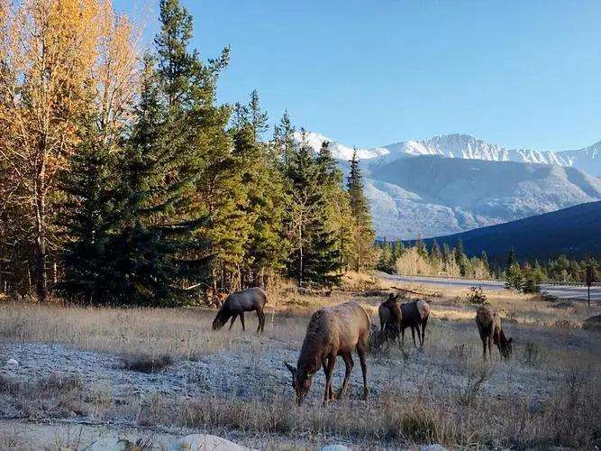 荒野与中国国家公园系统及建议