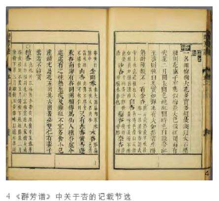 杏花衍义 江南风景意象塑造