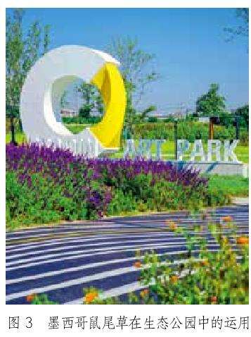 浅谈草本花卉在园林景观中的场景运用