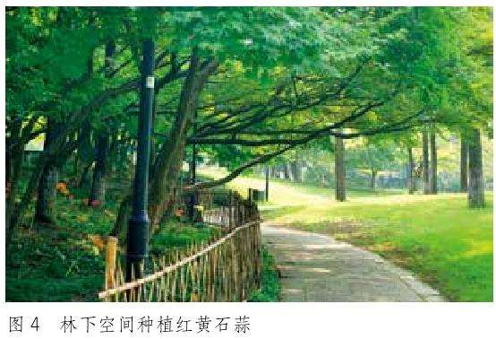 草本花卉在园林景观中的5个场景运用形式
