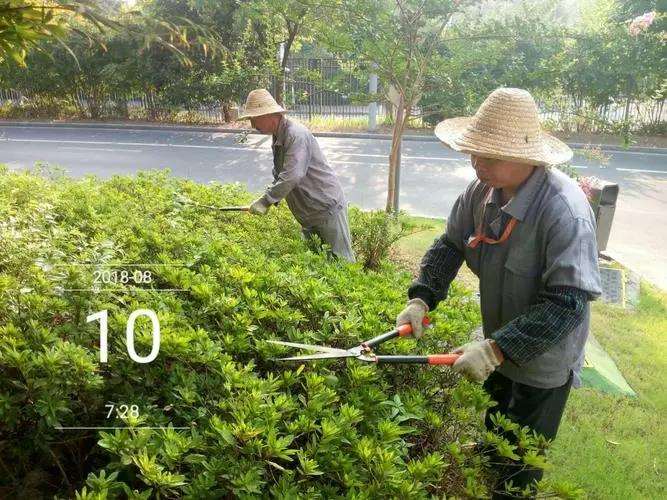关于做好园林植物整形修剪的4个想法