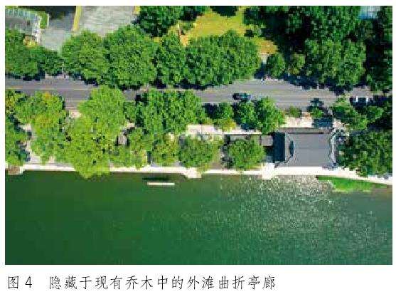 金华沿江公园怎么提升改造的5个步骤
