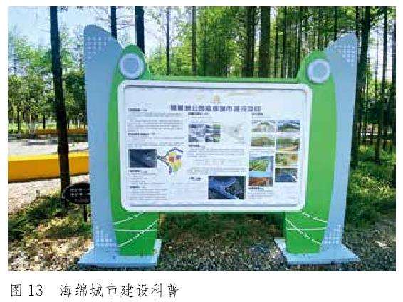 金华沿江公园怎么提升改造的5个步骤
