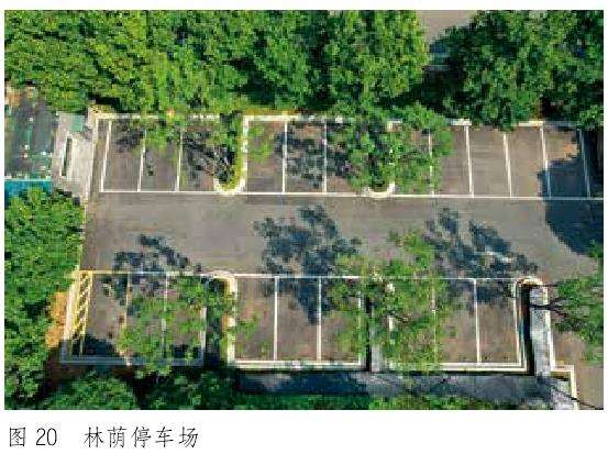 金华沿江公园怎么提升改造的5个步骤