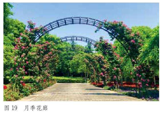 金华沿江公园怎么提升改造的5个步骤
