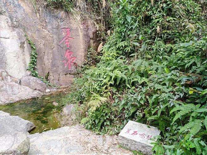 蕉石鸣琴石刻是杭州市市级文保点