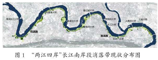 长江南岸段消落带现状分布图