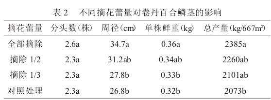 不同摘花蕾量对卷丹鳞茎产量的影响