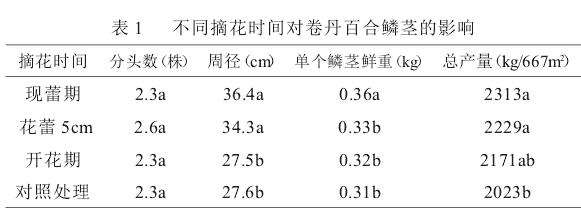 不同摘花处理对卷丹百合鳞茎生长的3个影响