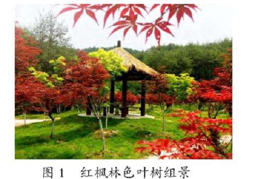 观赏类园林景观私密空间营造的3个手法