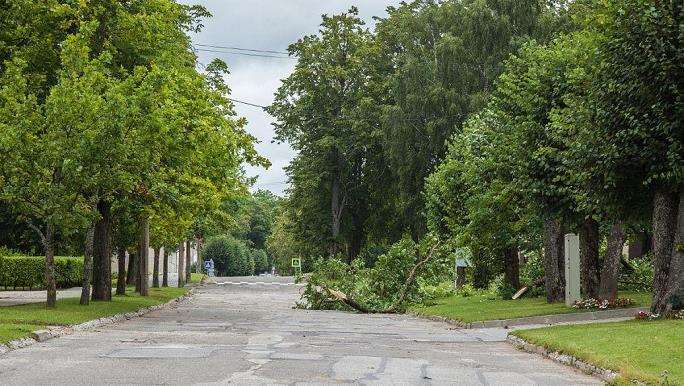 不同室内空间的3个园林景观应用形式
