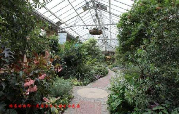 室内园林景观怎么造景构成的3个要素