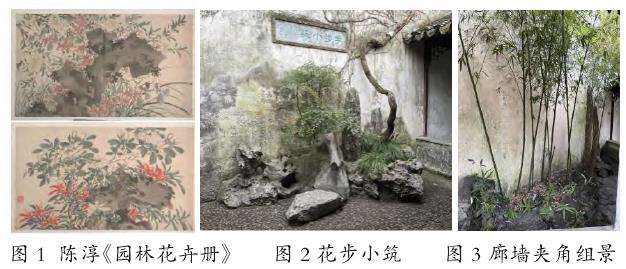 苏州传统园林山石植物组景街头化的3个应用