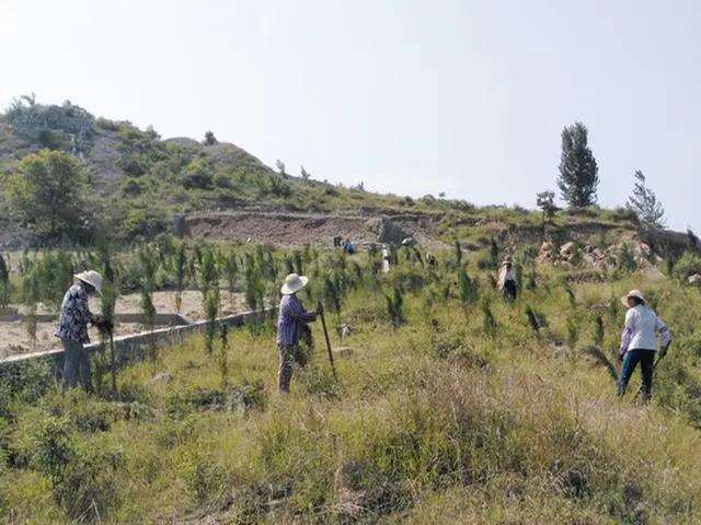 柳州石山造林的3个模式是哪些