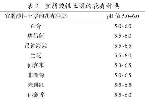 盆栽花卉培养土配制的4个要点