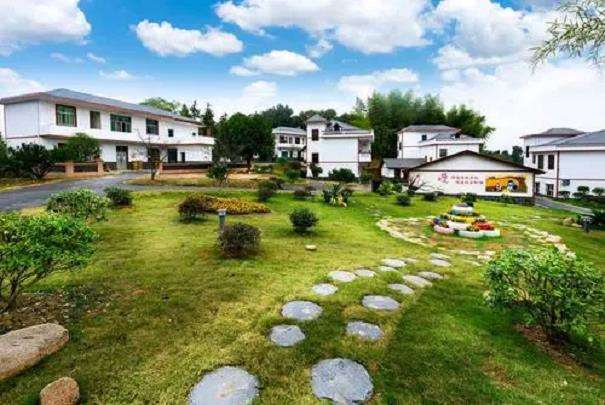 我国农村生态环境治理面临的5个困境