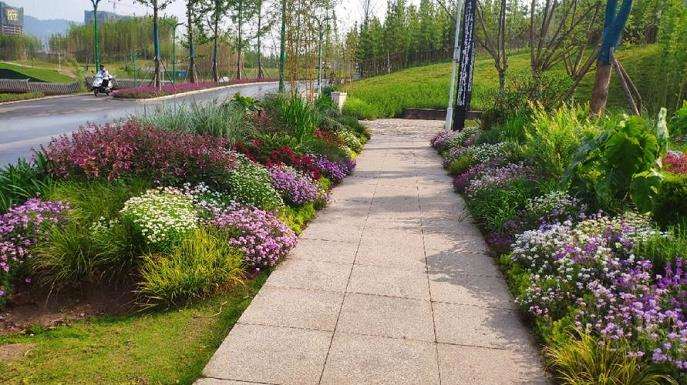 丽水市两湖公园花境特点和3个建议